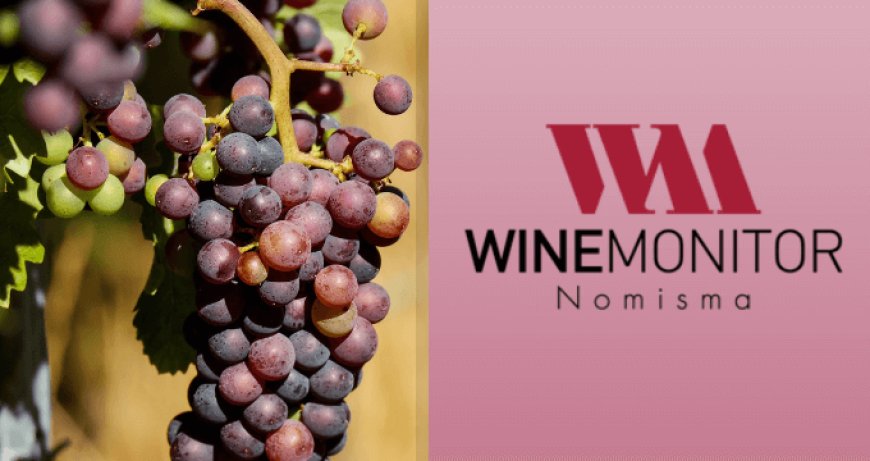 Nuovo studio Winemonitor - Nomisma su vino e cooperazione