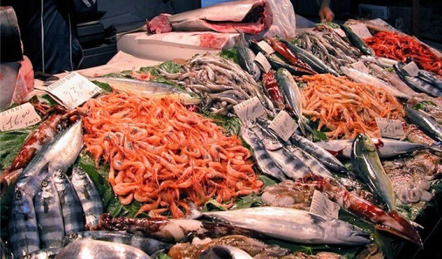 Prodotti ittici contraffatti e altamente pericolosi, blitz in Puglia