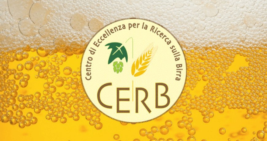 Come Diventare Birraio: corso CERB sulla tecnica di produzione della birra