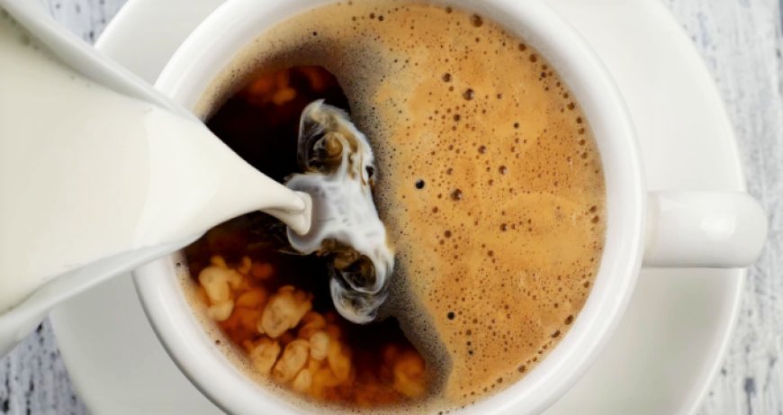 Caffellatte, sinergia perfetta fra latte e caffè