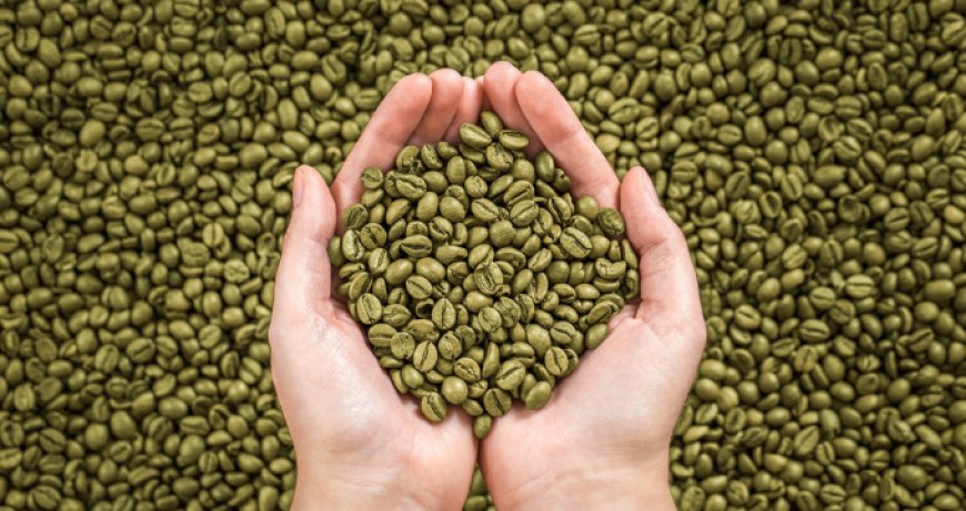Caffè verde: un modo di gustare il caffè, prendendosi cura della salute