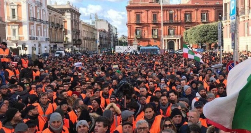 Arrivano i gilet arancioni, la protesta degli olivicoltori italiani