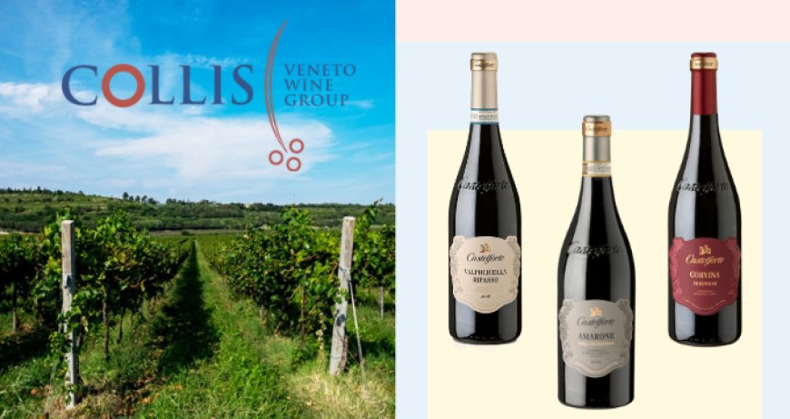 I vini Castelforte collezionano premi internazionali