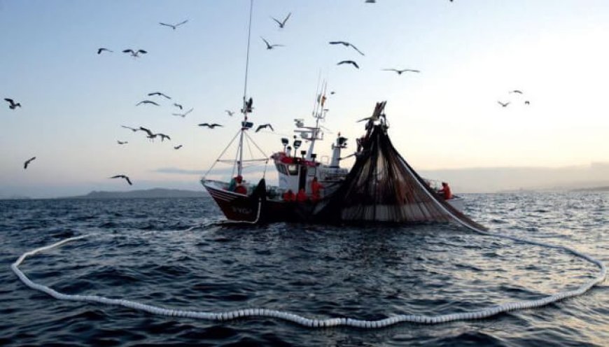 Boom di domande per i fondi UE destinati alla pesca