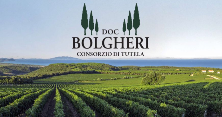 Doc Bolgheri: dalla Toscana 190 ettari in più per crescere