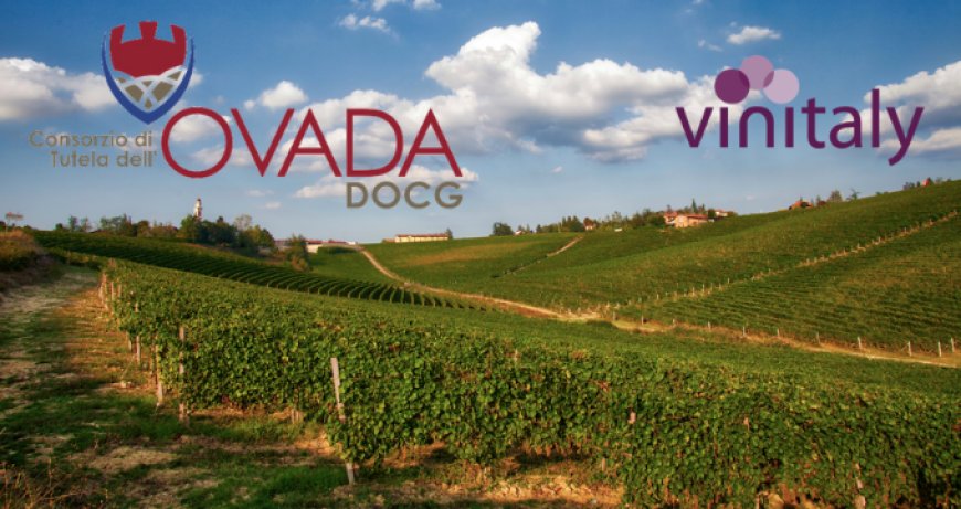 Ovada DOCG a Vinitaly per affermare il ruolo di questo vitigno piemontese