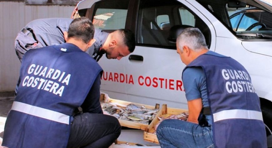 Operazione "Undersize 2": sequestrati in Calabria oltre 1.600 kili di pesce