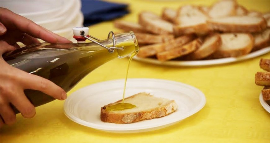 ASSITOL: l'olio di oliva sia ambasciatore del made in Italy negli USA