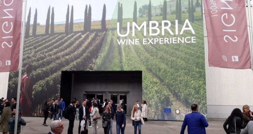 L'Umbria del vino all'appello. Obiettivo: i mercati internazionali