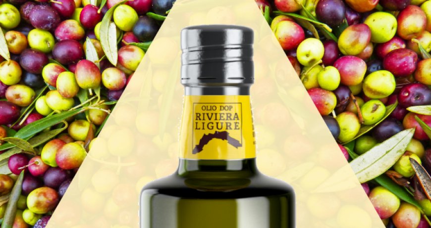 L’Olio Riviera Ligure DOP rilancia la Liguria agroalimentare di qualità