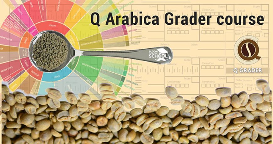 Alla Bloom Coffee School torna il corso Q Arabica Grader