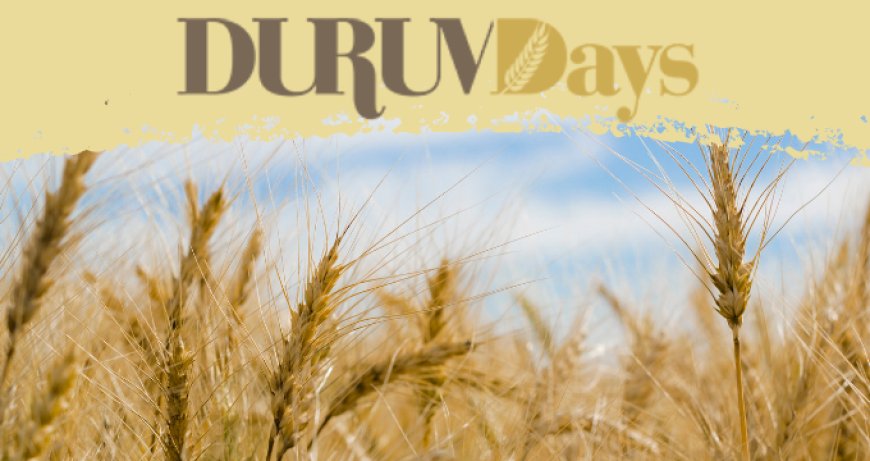 Durum Days 2019: a Foggia le previsioni sulla campagna di grano duro