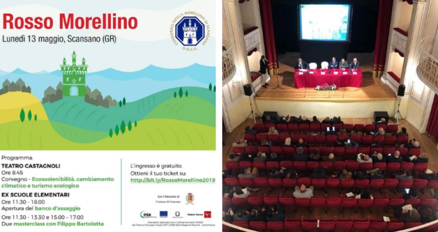 Cambiamenti climatici, territorio e sostenibilità: la sfida green del Morellino di Scansano
