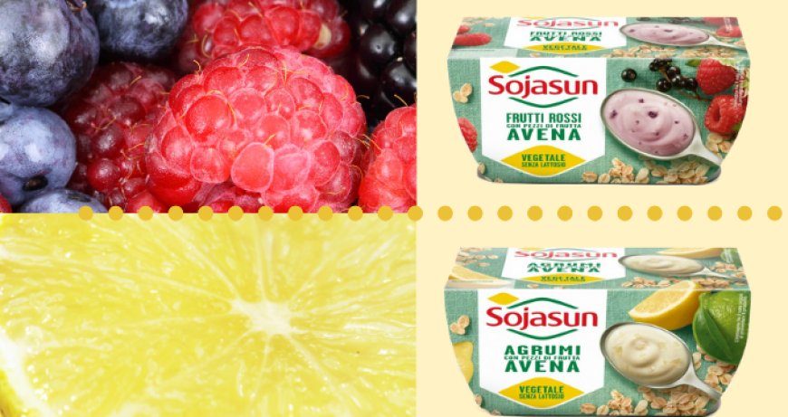 Da Sojasun i nuovi yogurt vegetali a base di Avena: Frutti Rossi e Agrumi