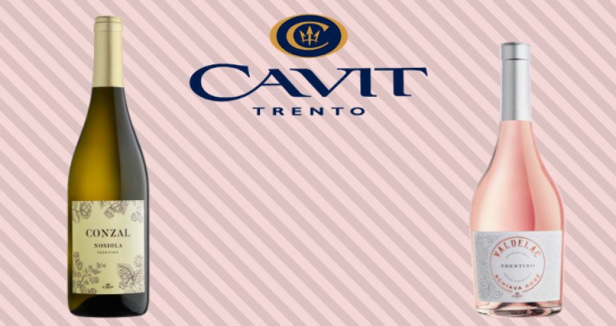 Cavit presenta due etichette novità nate da antichi vitigni trentini