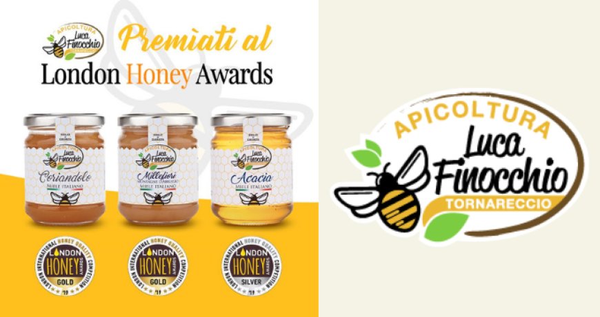 Apicoltura Luca Finocchio: il miele abruzzese premiato a Londra