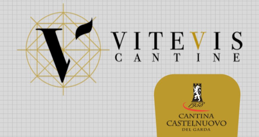 Cantine Vitevis e Cantina Castelnuovo del Garda: nuova realtà cooperativa