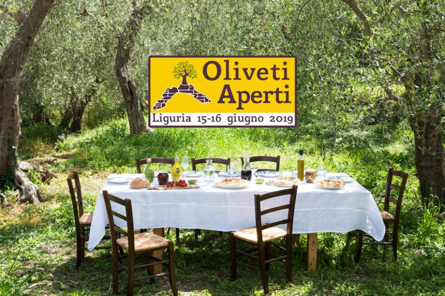 Oliveti Aperti: un week-end green in Liguria