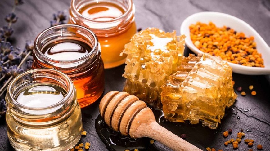 Nel 2018 torna a crescere la produzione di miele
