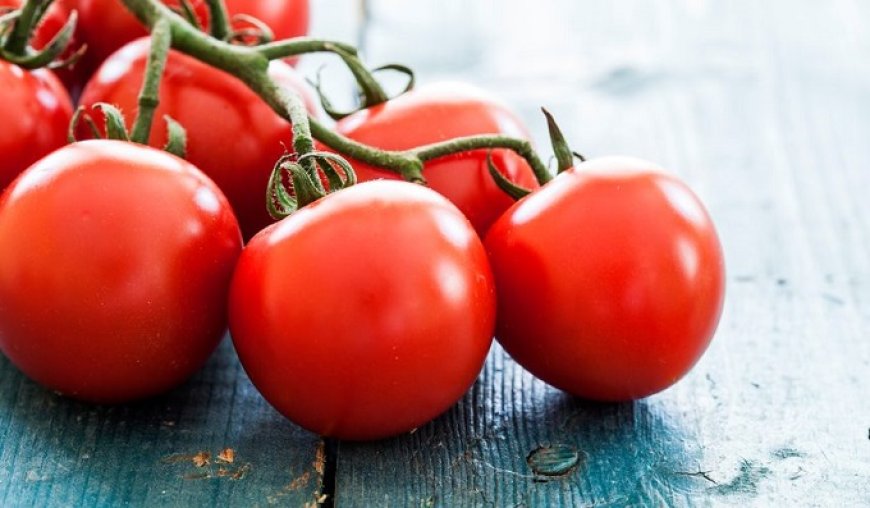 Aumenta l'export di pomodoro italiano verso gli Stati Uniti