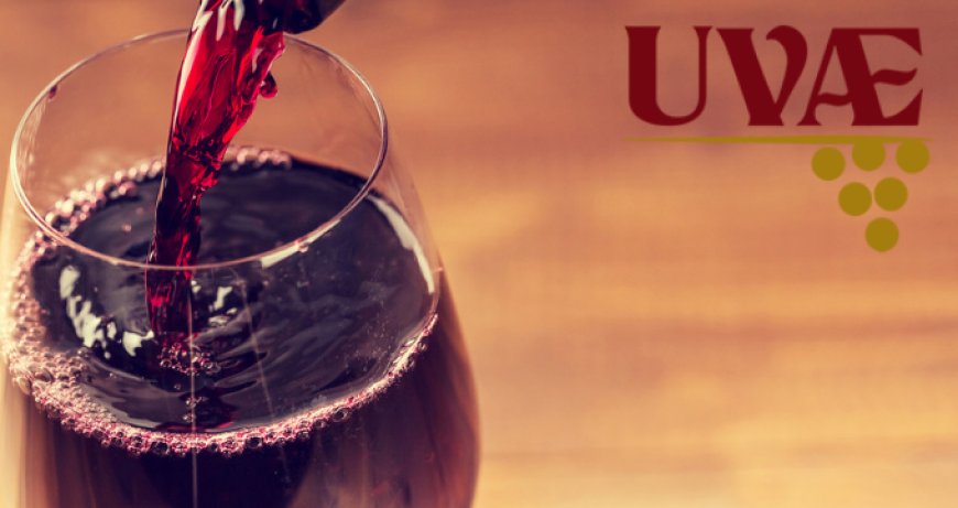Uvae racconta la sua Umbria del vino con Decugnano dei Barbi