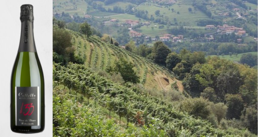 Lo spumante "il 33" di Colletto tra i 100 migliori vini d'Italia