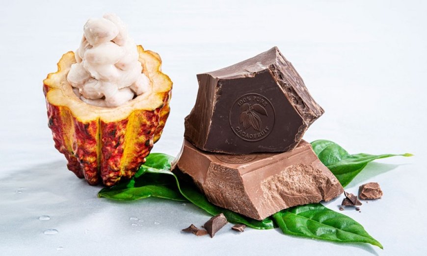 Presentato a San Francisco il nuovo Wholefruit Chocolate