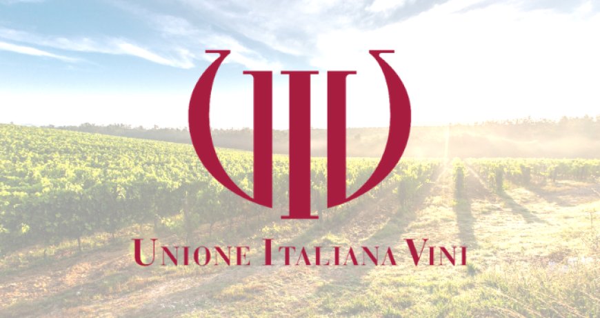 Normativa Vitivinicola: Unione Italiana Vini incontra le aziende venete