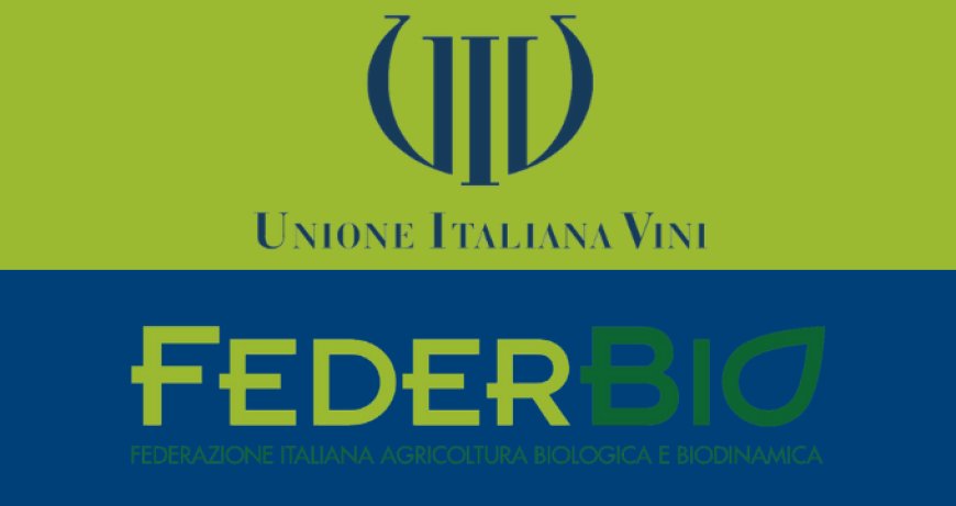 Federbio e UIV, partnership per valorizzare il settore vitivinicolo biologico italiano