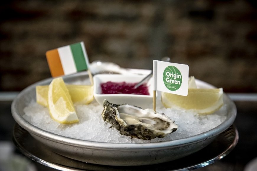 Le ostriche fra le prelibatezze irlandesi più amate al mondo: parola di Bord Bìa