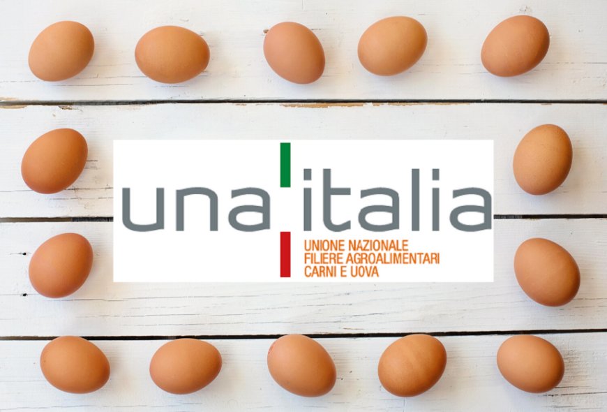 Filiera avicola italiana: fra best practice, riconoscimenti e stime 2019