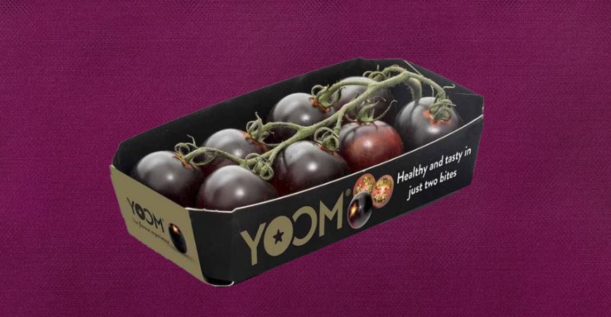 Il pomodoro viola Yoom vince l'Oscar dell'ortofrutta a Fruit Logistica
