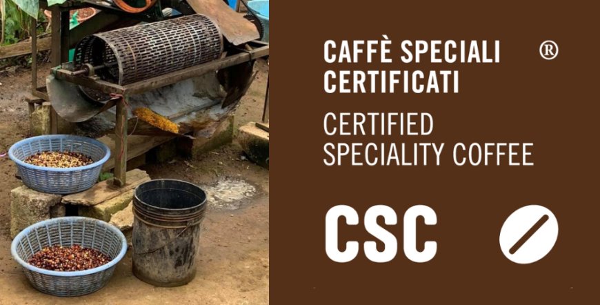 Caffè Speciali Certificati in Guatemala a sostegno ai piccoli produttori di caffè