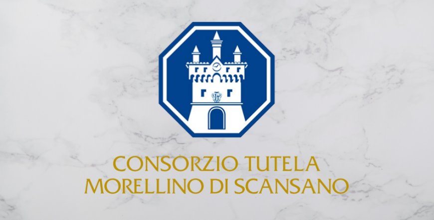 Morellino di Scansano DOCG: al via la modifica del disciplinare per aggiungere “Toscana” in etichetta