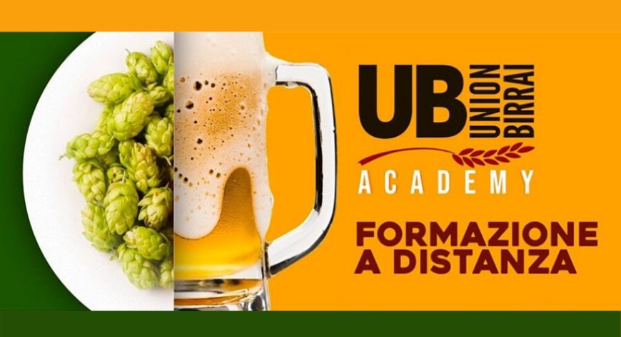 UB Academy: la formazione online dedicati alla birra artigianale da Unionbirrai