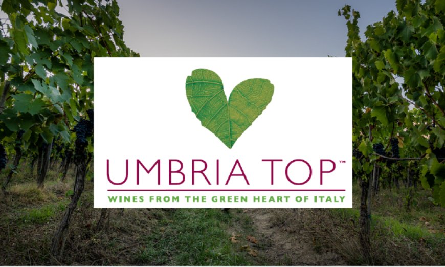 Umbria Top Wines: stop Vinitaly necessario per ripartire con più forza