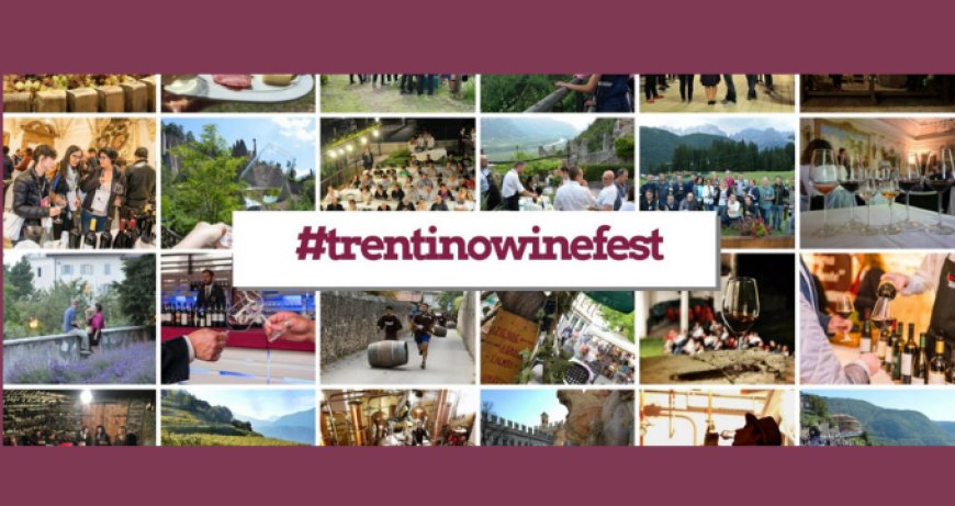 Strada del Vino e dei Sapori del Trentino: un anno di eventi dedicati al vino