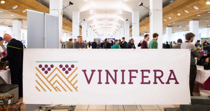 Grande successo per Vinifera Trento: alta qualità e cultura del vino