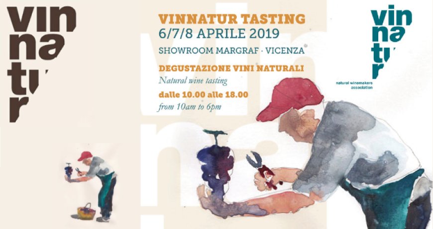 VinNatur Tasting a Gambellara l'appuntamento con i vini naturali