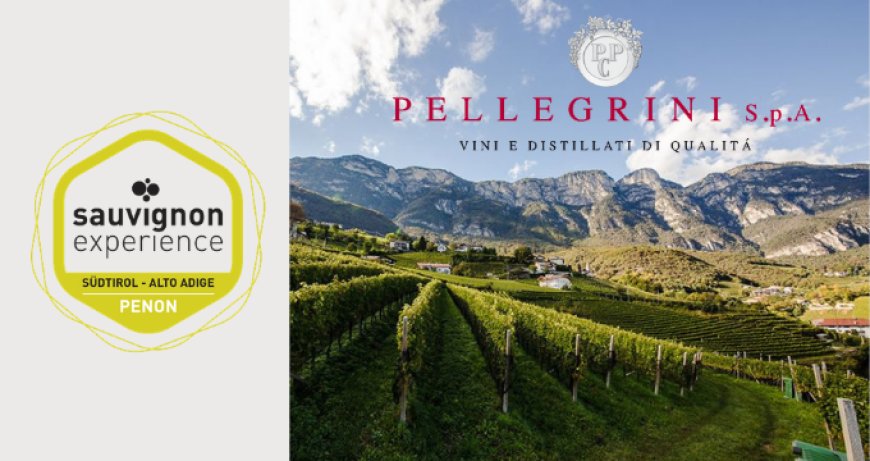 Pellegrini SpA partecipa alla Sauvignon Experience 2019