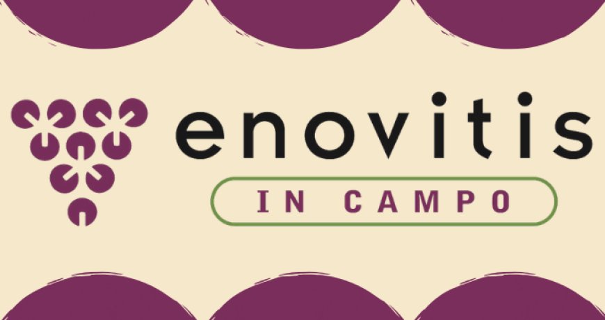 Enovitis in Campo: confermato il successo dell'evento anche per questa edizione