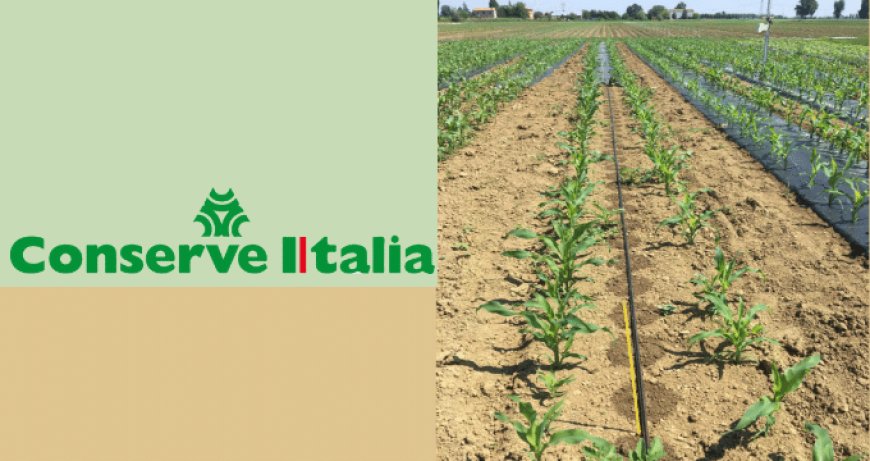 Conserve Italia conclude la sperimentazione per ridurre l'irrigazione in campo del 7%