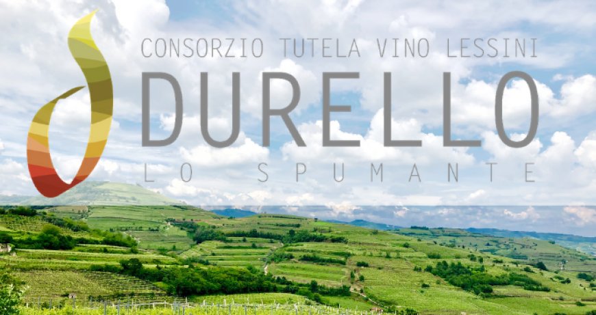 Lessini Durello: un progetto per la tutela delle acque della Val D'Alpone