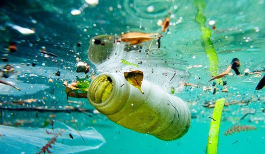 UE dice basta a prodotti di plastica usa e getta: tutte le misure da adottare