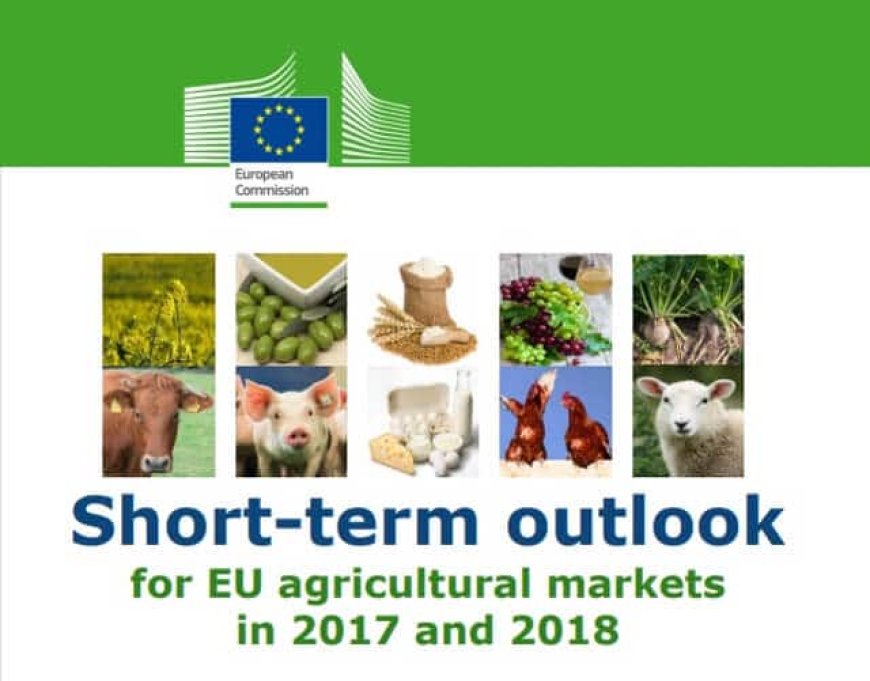 Dati UE sulle produzioni agricole: l'Italia spicca per lo spumante e la soia