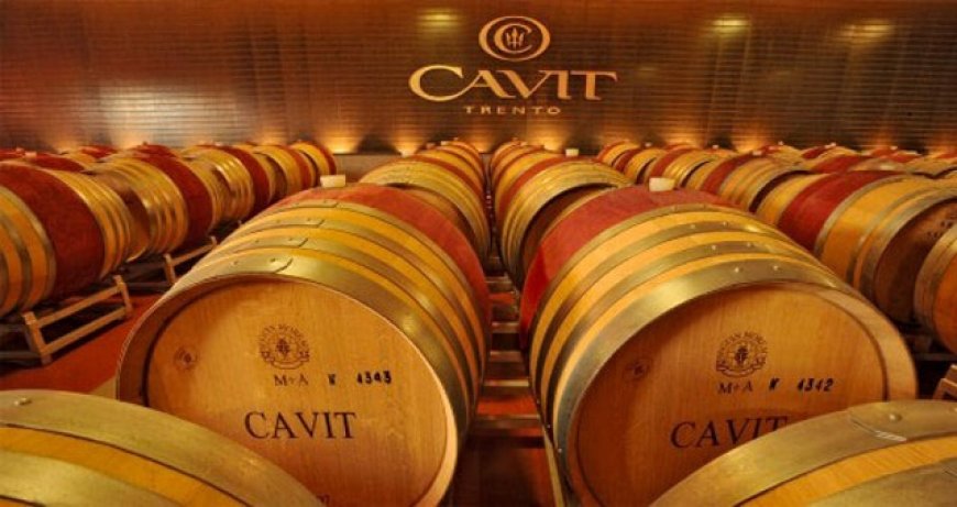 Cavit: aumenta il fatturato 2017 e cresce la presenza sul mercato italiano
