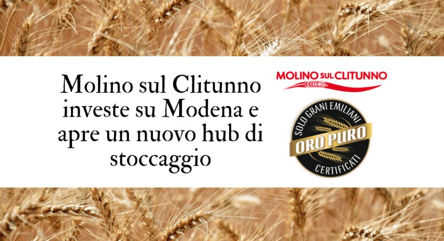 Molino sul Clitunno investe su Modena e apre un nuovo hub di stoccaggio