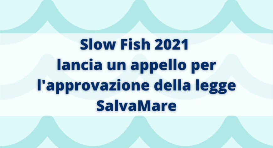 Slow Fish 2021 lancia un appello per l'approvazione della legge SalvaMare