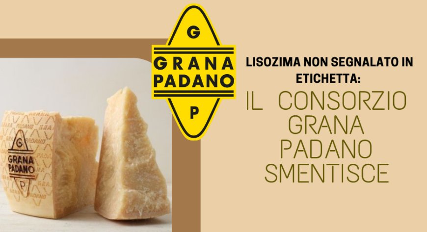 Lisozima non segnalato in etichetta: il Consorzio Grana Padano smentisce