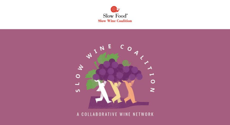 Nasce Slow Wine Coalition per la filiera. Appuntamento a Slow Wine Fair
